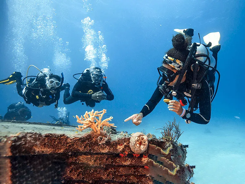 Open water practicum