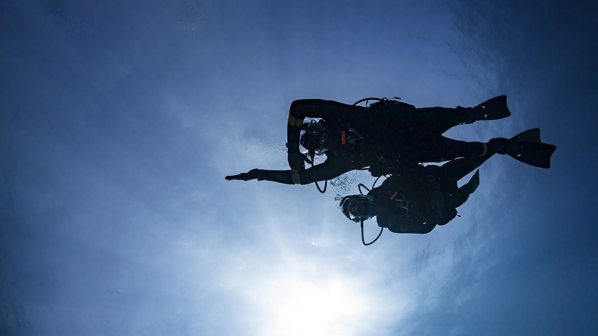 PADI Instructor Development Course hands-on training