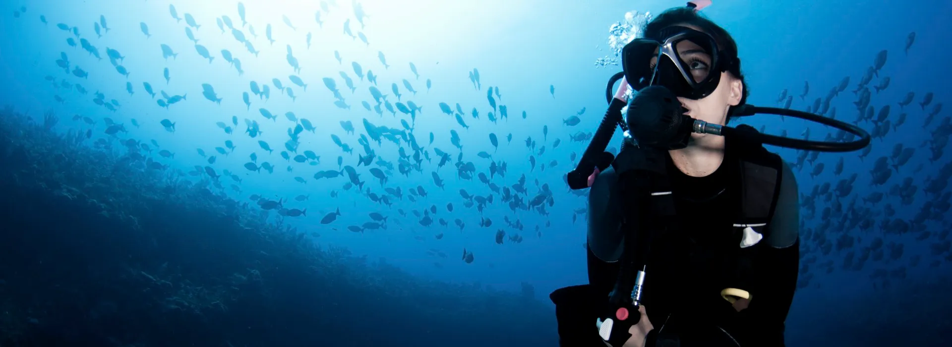 PADI 开放水域潜水员入门课程